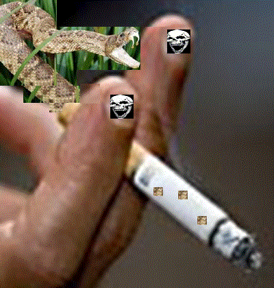 Snake Cigarette.gif